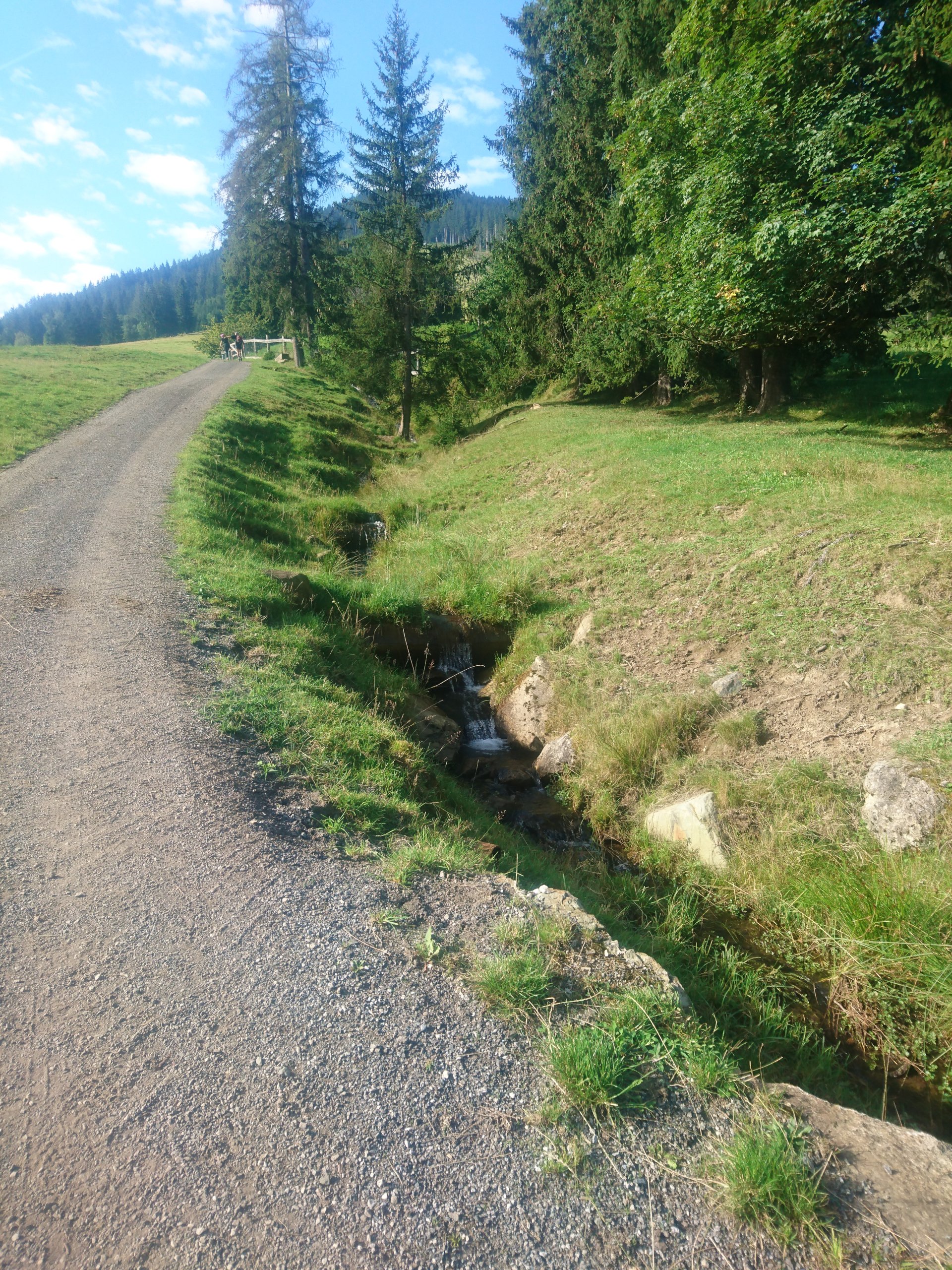 plätschernder Bach am Wegesrand